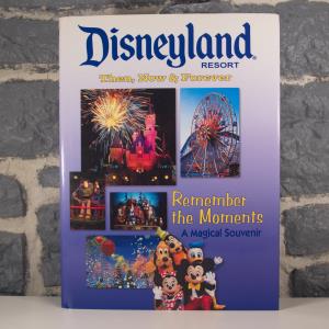 Disneyland - Then, Now  Forever- Remember the Moments (01)